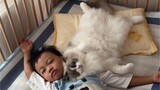 My cat is already very good at putting children to sleep...