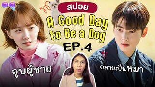 สปอย 'A Good Day to Be a Dog' Ep.4 จูบผู้ชาย..กลายเป็นหมา | ดดู