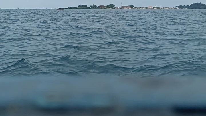 wave