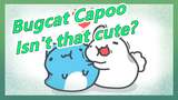 Bugcat Capoo |Isn't that cute?