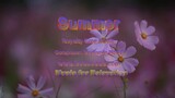 Summer_ Music For Relaxation