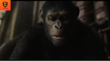 REVIEW PHIM : Hành tinh khỉ (p1) #reviewphimkhoahoc