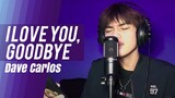 I Love You, Goodbye - Dave Carlos (Cover)