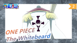 [ONE PIECE/Whitebeard] Blast The Whole Father's Day_2