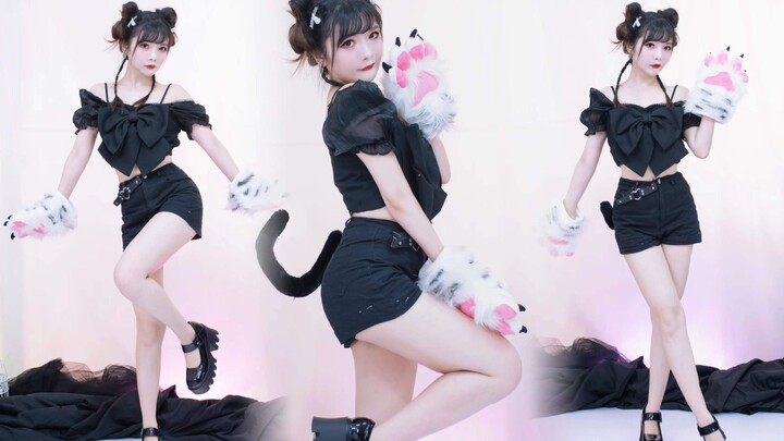 Swinging cat! Halloween cat paw dance ~ swinging ~