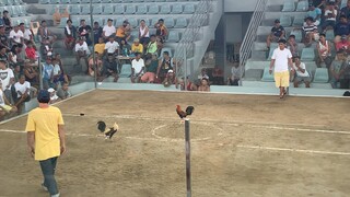 Urdaneta city cockpit arena doyet lapido line win