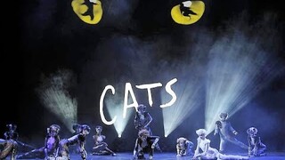 The Making Of Andrew Lloyd Webber`s Musical Cats