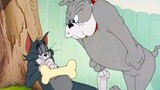 (TikTok Jerry and Tom) Dog