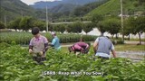 GBRB : Reap what you sow Ep.2 Eng sub