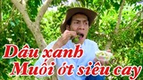 Trèo hái từng chùm dâu non ngồi trên cây chấm muối ớt siêu cay