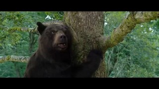 Cocaine Bear Watch the full movie : Link in the description