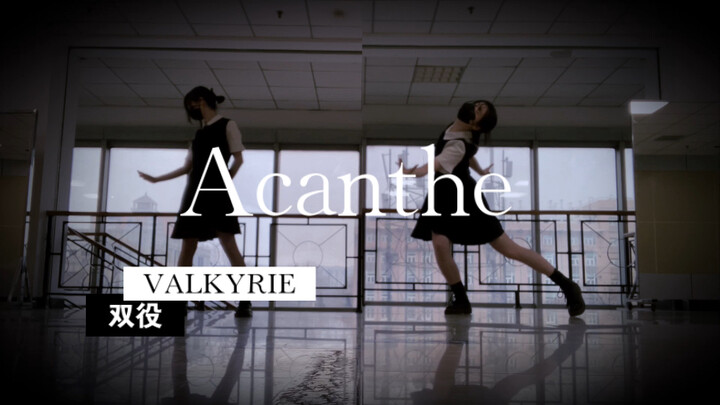 一人双役 Acanthe/Valkyrie