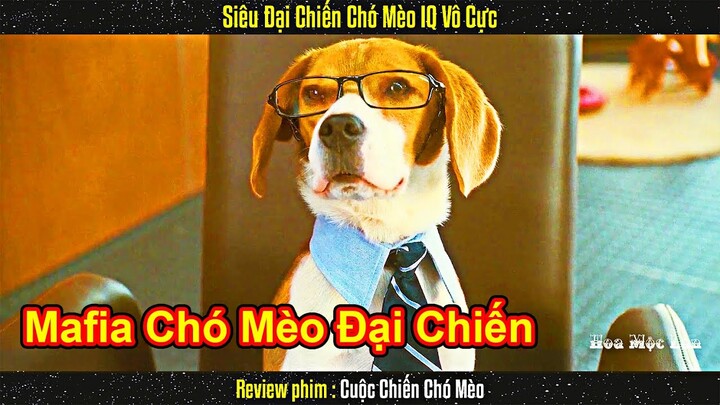 Khi Mafia Chó Mèo Siêu Đại Chiến Với IQ Vô Cực || Review PHim