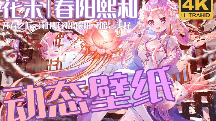 【动态壁纸】荷叶灯旗袍白丝少女  花末|春阳熙和