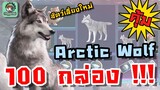 PUBG Mobile - สุ่มสัตว์เลี้ยงใหม่ Arctic Wolf สุดคุ้มมม !!!