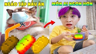 Thú Cưng Vlog | Ngáo Husky Troll Bố #18 | Chó husky thông minh vui nhộn | Smart dog funny pets
