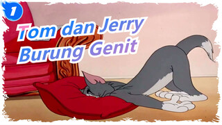 Tom dan Jerry | Permainan Terbalik: Apa yang Akan Terjadi Jika - Burung Genit (1945)_B1