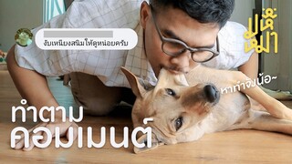 (EN) ใช้ชีวิต 1 วัน ตามคอมเมนต์ - มหึหมา EP116