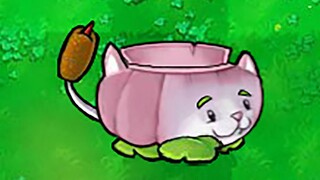 新植物：猫窝