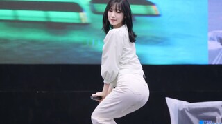 崔乂园：今天又是你的可爱兔子！ARin直拍 Dolphin 230506