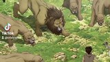 Tsukasa vs Wild Lions 🔥🥰🖤