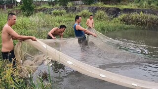 Kéo Cá Bằng Lưới Vét Tóm Gọn Cả Đàn Thuỷ Quái | Săn Bắt Ẩm Thực Vùng Cao