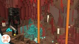 Minecraft Nether Cave Update!