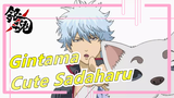 [Gintama] Who'll Not Want Such a Cute Sadaharu?