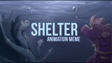 Shelter Animation meme//ft.Storm