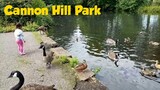 Feeding The Ducks And Geese at Cannon Hill Park