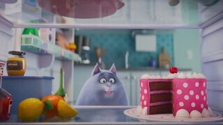 Film The Secret Life of Pets (2016)