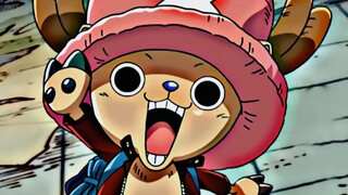 Chopper cutie