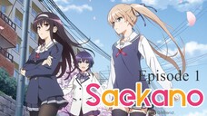 Saenai Heroine no Sodatekata Season 1 Episode 1 Sub Indo