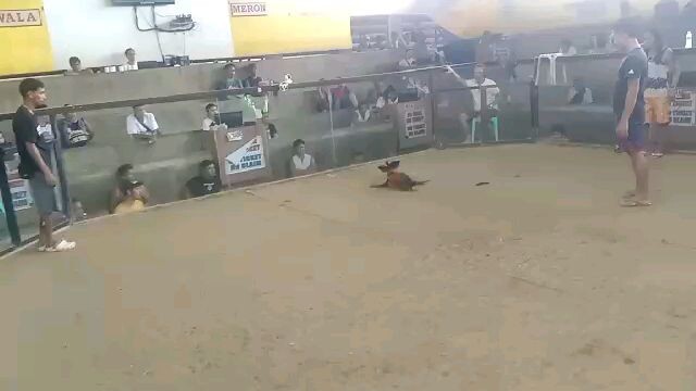 Mal ay lopez sport  ndii nag sugat 2time winer