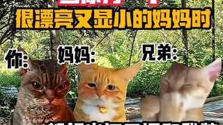 《猫meme小剧场》当你有一个很漂亮又显小的妈妈时！