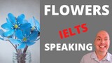 IELTS Speaking Part 1 Flowers