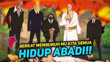 INI DIA RAHASIA PARA GOROSEI BISA HIDUP 800 TAHUN DI DUNIA ONE PIECE !! ONE PIECE