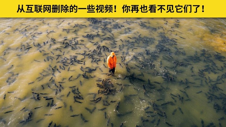 从互联网删除的一些视频！你再也看不见它们了！