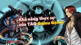 [Giả thuyết]. Màn trao đổi giữa Shanks & Kaido? “Lá chắn phản đòn” của trái Gomu