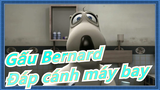 Gấu Bernard -Mùa 1 Đáp cánh máy bay (1)