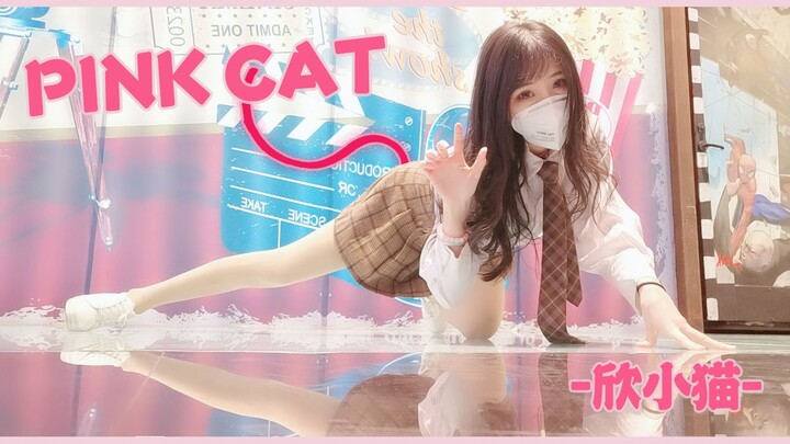 【-玖猫酱-】pink cat 【❀初投稿❀伪】疫情大家戴口罩哦，东北还是要穿光腿神器才能活