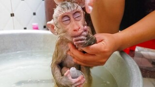 Morning Bathing!! Wow looks at little Yaya so comfy while Mom gently cleans her head with shampoo