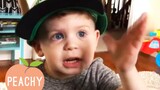 Toddler Translations 🤣 | Funny Videos 2020