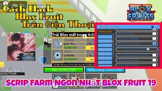 HoHo Hub I Cách Hack Blox Fruits 19 [💓 EVENT] Trên Điện Thoại Menu Full Tính Năng Auto Tộc V4