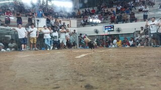 Texas cockpit arena Antipolo city.