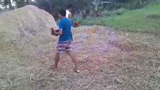 spar