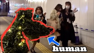 Bushman Japanese Reactions 2022 Halloween Cosplayer's great reactions!!