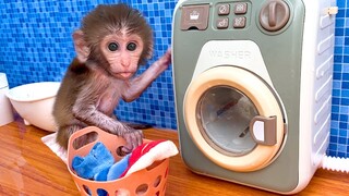 Baby monkey Bon Bon goes to do the laundry and playing with the Chicken So cute