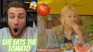 THE TOMATO 😆🍅😍 TWICE REALITY "TIME TO TWICE" Healing Camping EP.03 - REACTION