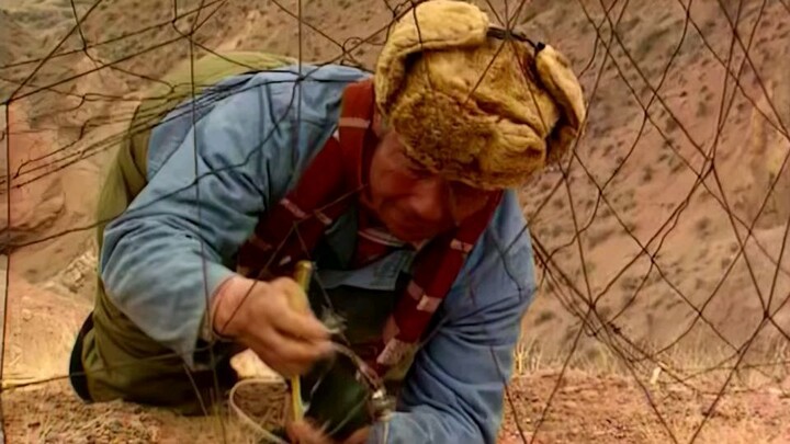 Training Eagle for hunting